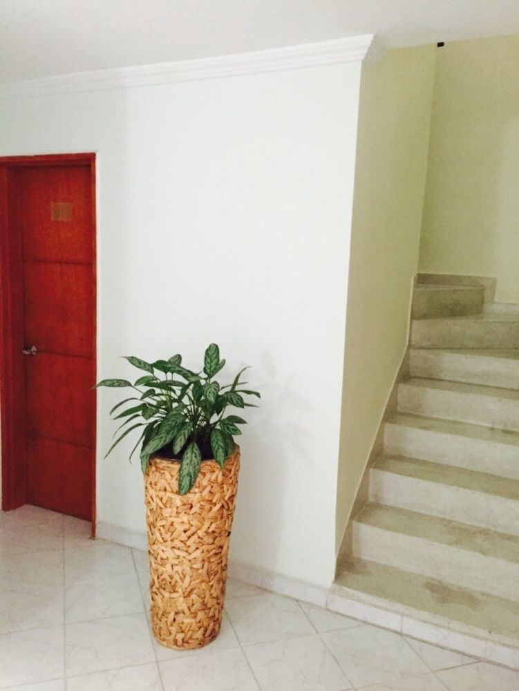 ホテルCasa Portico メデジン エクステリア 写真